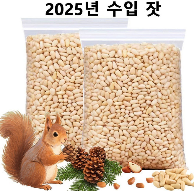 수입 잣 야생잣 견과류 잣, 1개, 1kg