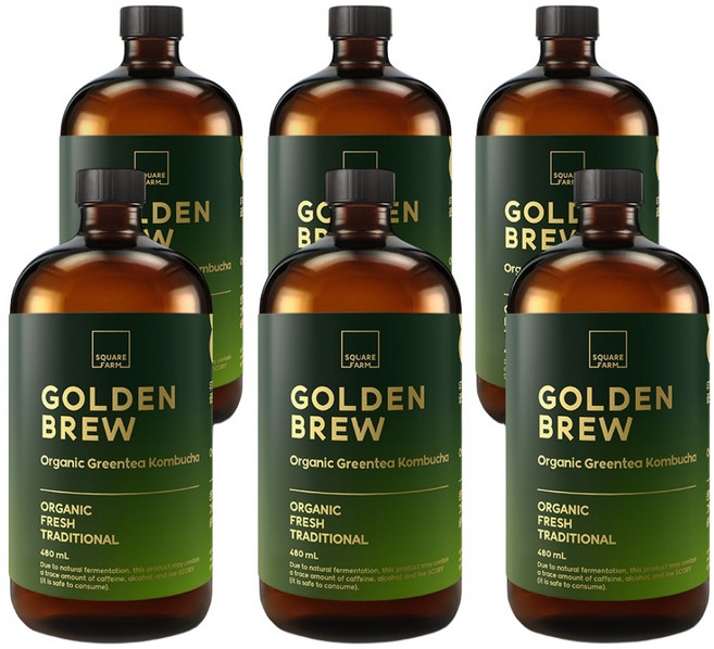 골든브루 유기농 그린티 콤부차 오리지널, 6개, 480ml