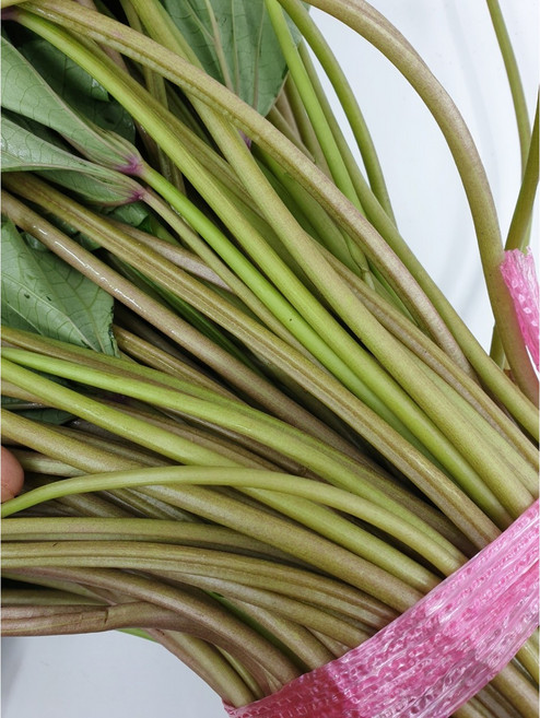 [달고 맛있는] 생고구마순 고구마줄기, 1kg, 1개