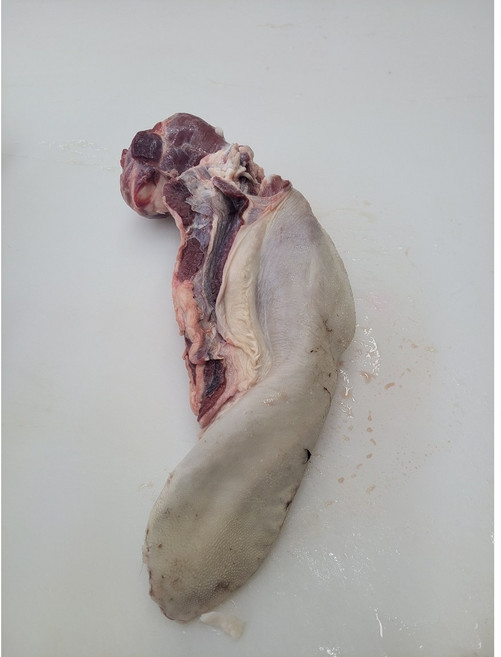 대감식품 국내산 도매 한우 육우 우설, 1개, 2kg