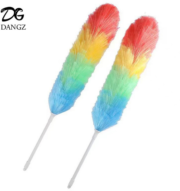 DANGZ 무지개 먼지떨이 2p, 2개, 그림 색상