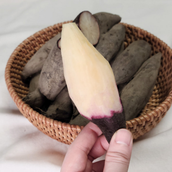 하늘채농원 토종야콘/붉은야콘 25년 국내산 햇 야콘/숙성야콘 땅속과일 땅속의 배, 1개, 토종야콘(특) 10kg 갈라짐/부러짐/흠집있음