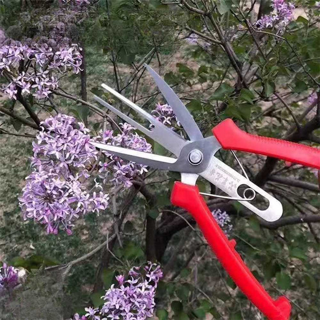 사과 적과 가위 적화 과일 알솎기 꽃 과수원 포도 배 나무 다목적 원예용, 1개, 양날 스프링형