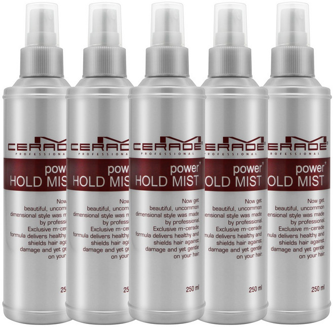 소망 엠세라드 파워 홀드 미스트, 250ml, 5개