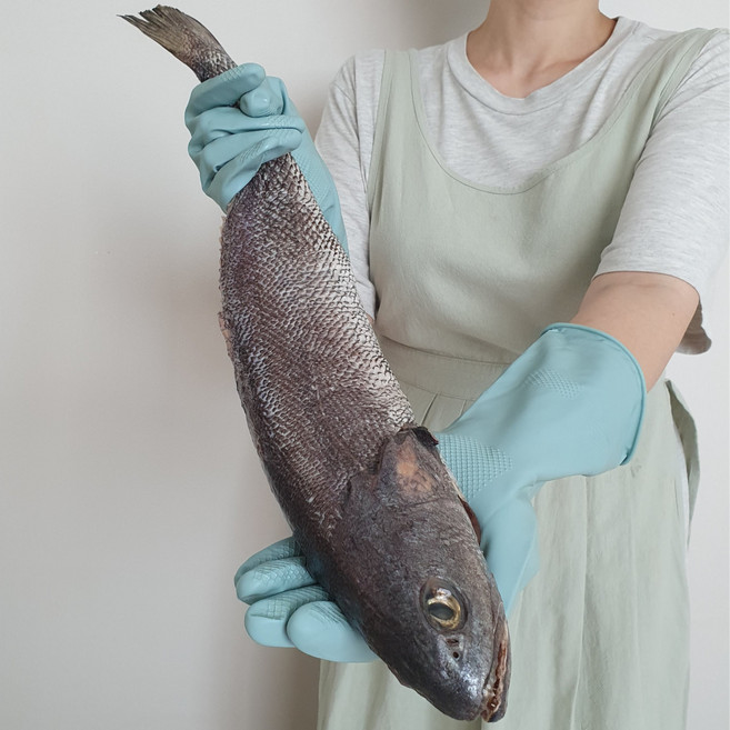 100% 목포 자연산 상급 손질 민어 한마리 급냉 생물기준1.7-2kg, 1개, 1.3kg내외
