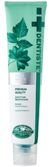 덴티스테 뉴 플러스화이트 치약, 200g, 2개