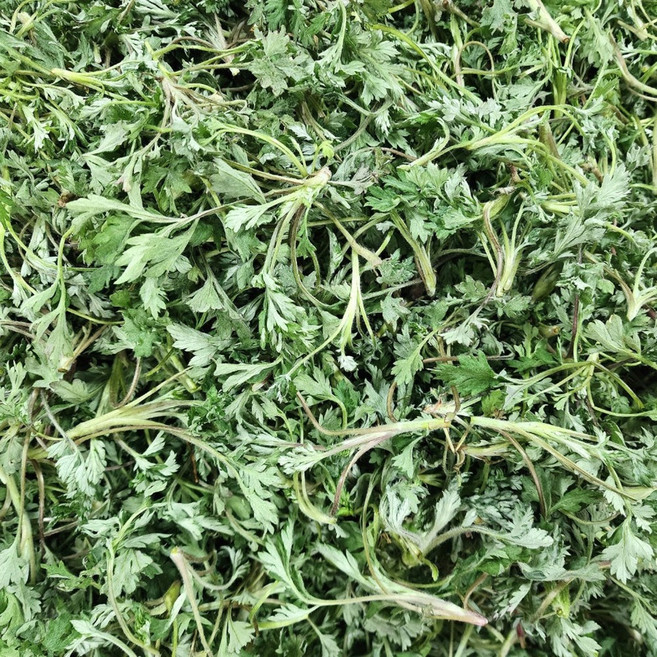 향긋한 봄나물 봄 제철 쑥 전라도 해남 생쑥, 1개, 500g