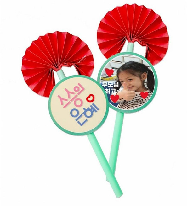 카네이션 요술봉 (5인세트) 어버이날 스승의날 diy 만들기 키트 교구 단체 부모님 선물 선생님선물, 단품