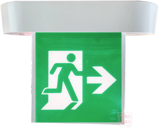 리더스테크 피난구유도등 천정형 소형 국산정품, 1개