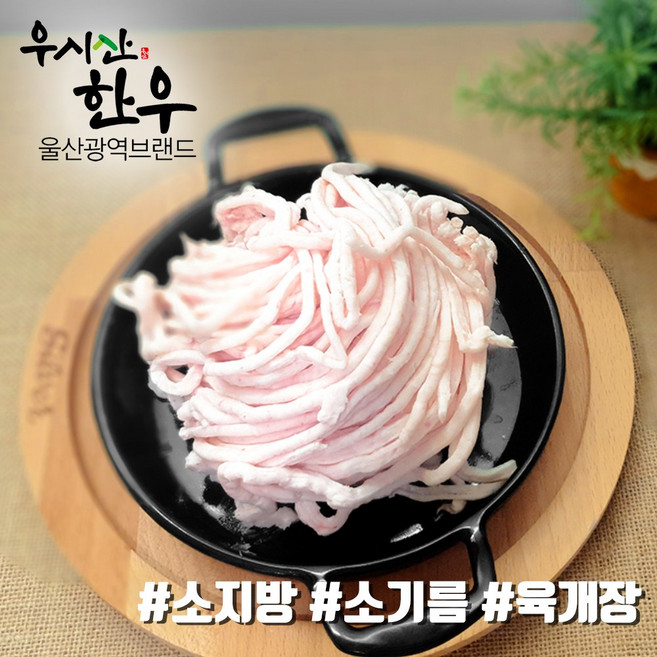 [오늘출발] 한우 소지방 소기름 두태기름 1kg(500gx2ea) 뉴스공장 우시산한우 냉동, 1kg, 2개, 1kg