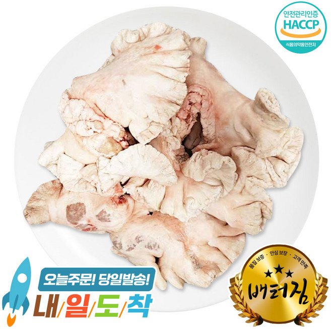 (배터짐) 특미 삶은 초벌 돼지 도래창 500g 돼지유통 돼지염통 돼지간 돼지심장 돼지내장 오소리감투 뒷고기 뒷덜미살 돼지막창 (일요일&당일발송), 삶은 초벌 돼지 도래창500g, 1개