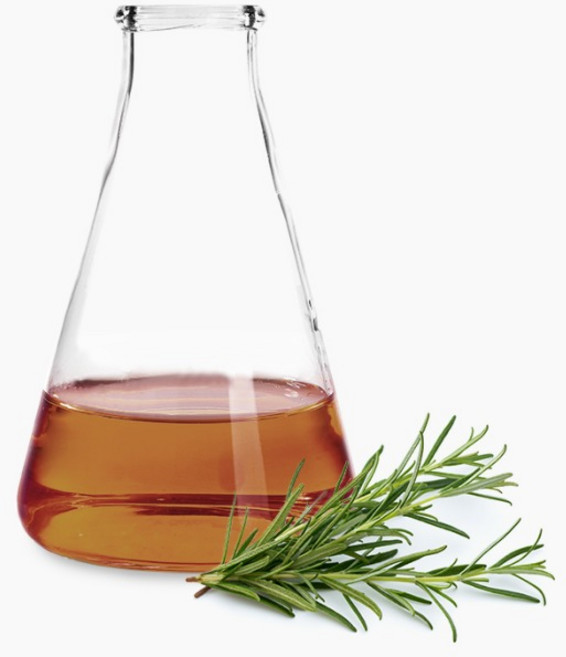 로즈마리추출물500ml 두피.기미.산화방지, 1개, 500ml