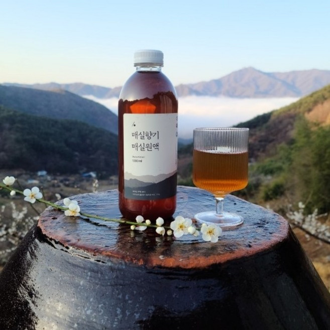 매실향기 국내산 하동 매실로 만든 자연발효 매실청 매실액, 5개, 1L