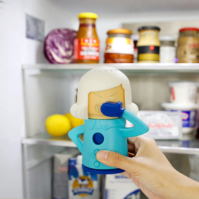 퍼니싱굿즈 냉장고 냄새제거 쿨마마, 1개