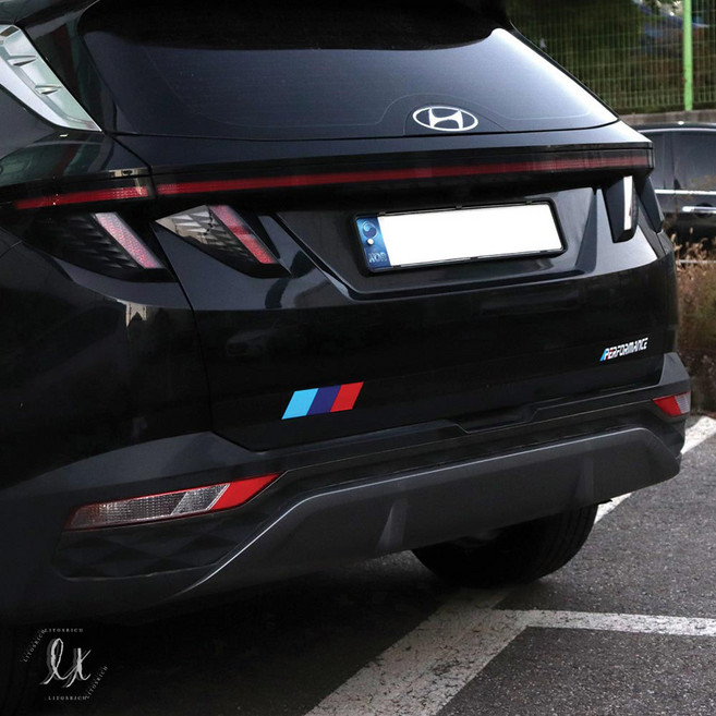 비브랜드 트렁크 가니쉬 드레스업 국기 퍼포먼스 스티커 디올뉴투싼 호환용, H.타입