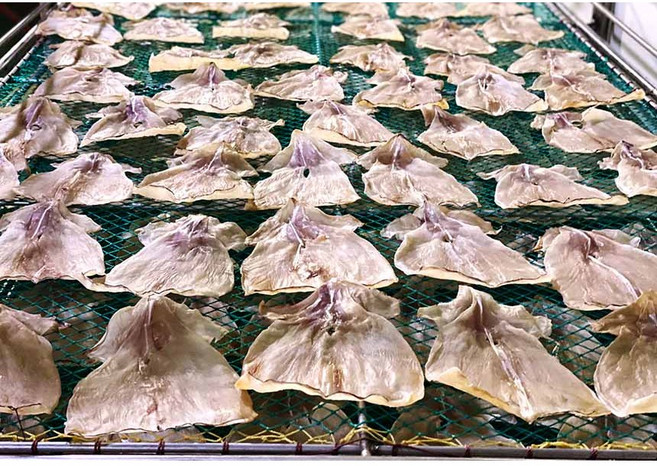 쫄깃한 오징어 몸통 22~28미, 1개, 오징어몸통 500g 22~28미