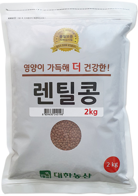 대한농산 브라운렌틸콩 2kg 렌틸콩, 1개