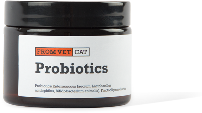 프롬벳 고양이 영양제, 50g, 장건강/유산균, 1개