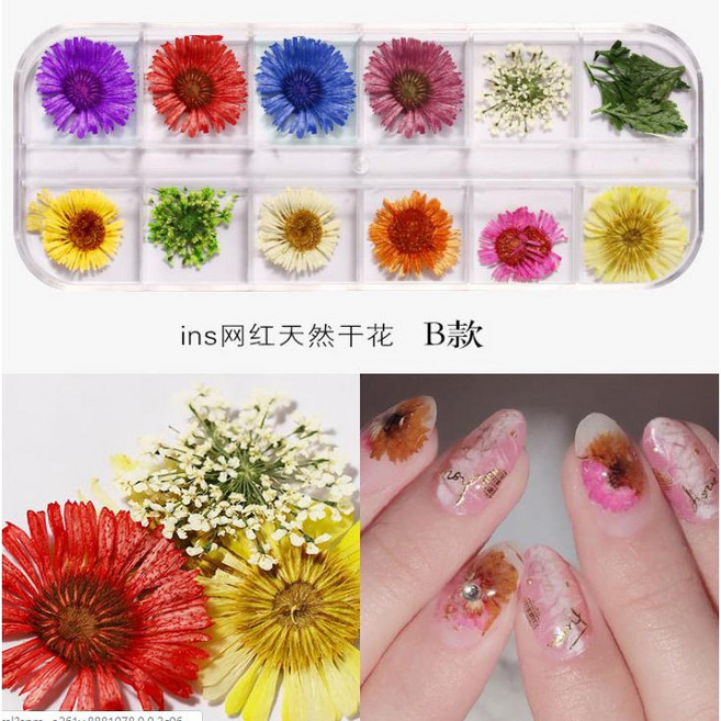 乾燥花美甲飾品 指甲裝飾材料, 1個, B款【乾燥花】獨立掀蓋