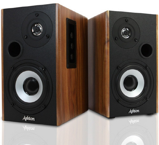 애쉬톤 AT-1000K 스피커 우드 (2채널), 선택하세요