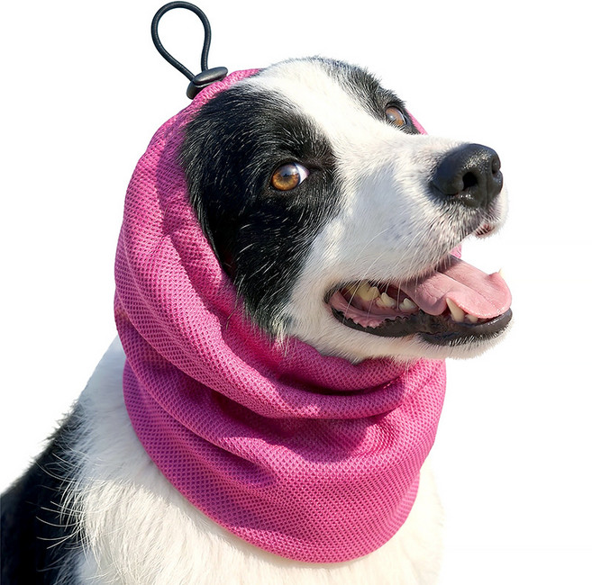 [아이스 쿨링] 강아지 여름 헤드 커버 - 고신축 조절형 쿨 후드 / 장모종 귀 보호 스누드, M 사이즈 목둘레 40-54cm, 길이 30cm, 로즈 레드