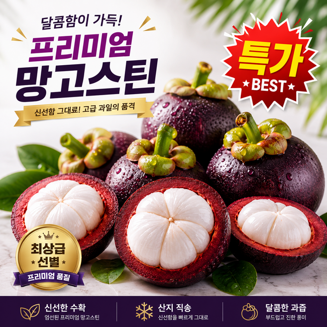 [특가판매] 특상 고당도 프리미엄 망고스틴, 1박스, 500g(특가)