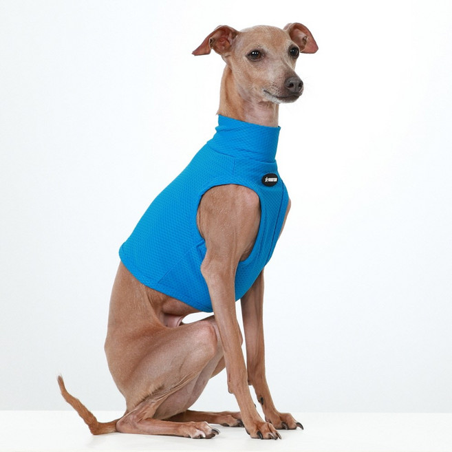 도기스타 아이쥐옷 이탈리안그레이하운드옷 여름 쿨링 크롭탑, 1개, 파랑