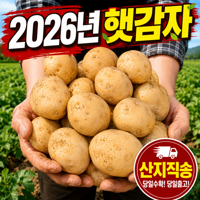 [농장산지직송] 26년 국내산 수미 햇 감자, 1개, 3kg (중)