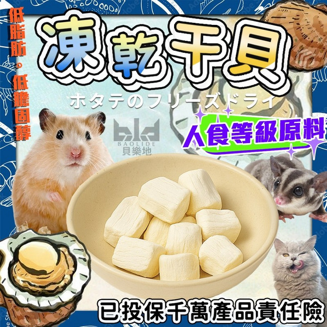 BAOLIDE 貝樂地 凍乾干貝 倉鼠零食 小動物磨牙 貓狗可食, 1個, 大包裝