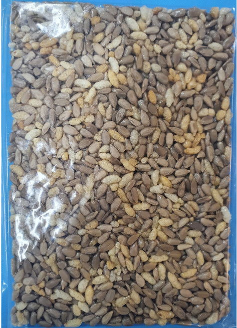 동막골수제강정 견과류강정 200g 중 택1 말랑강정 10종류 /포항죽도시장/전통과자/명절선물 답례품 부드러운오란다 촉촉한오란다 부드러운강정, 해바라기씨, 1개