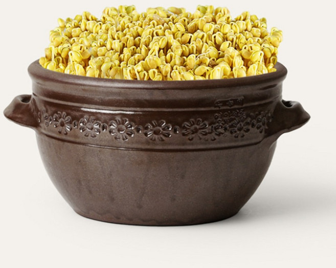 매니픽 가정용 집에서 키우는 콩나물 시루 항아리 소형, 1개