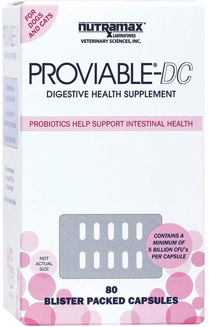 뉴트라맥스 프로바이어블 고양이 유산균 강아지 유산균 Proviable-DC 80캡슐 x 1통, 80정, 소화+장건강, 1개 - 쿠팡