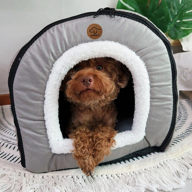 도그팜 방석 겸용 사계절 강아지집 고양이 하우스, 그레이, 1개