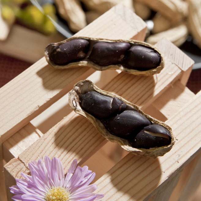 【快車肉乾】H7黑金剛花生(殼) - 隨手輕巧包, 210g, 1個