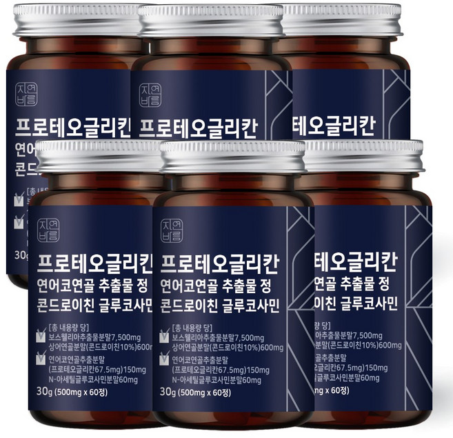 자연바름 프로테오글리칸 연어코연골 추출물 분말 정 비변성 2형 콜라겐 콘드로이친 황산 글루코사민, 60정, 6개