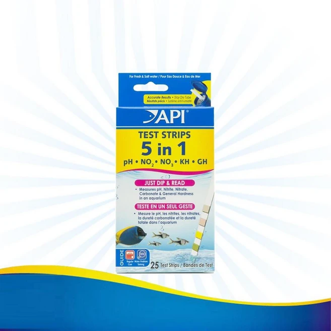 API 5 in1 테스터 스트립 25스틱, 1개, 상세페이지 참조 - 쿠팡
