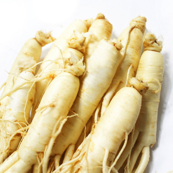 금산 후금이네 가정용 싱싱한 인삼 세척 원삼 6-8편 (500g), 500g, 1개