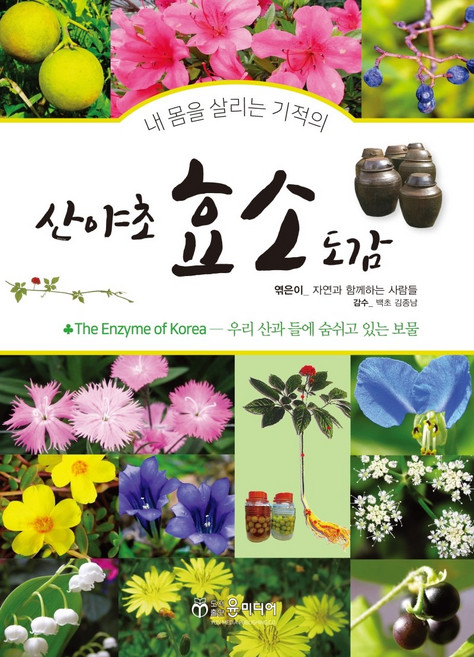 산야초 효소 도감:, 윤미디어