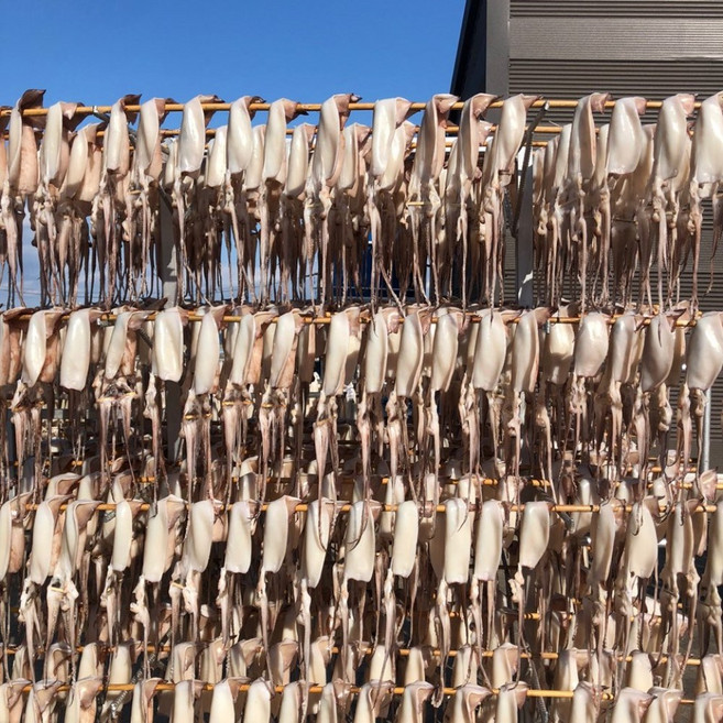 쫄깃쫄깃 반건조 오징어, 1개, 900g