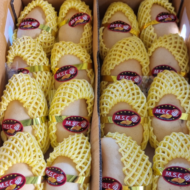 MSC 태국 골드망고 항공직송, 1박스, 5kg(18-20과)