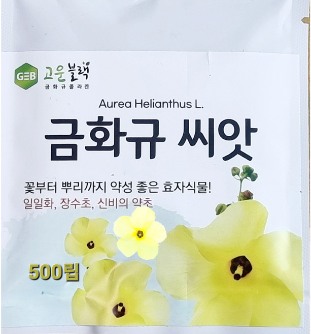 금화규 씨앗 500립 건강 피부 미용꽃 효자식물 금화규전문농장, 1개