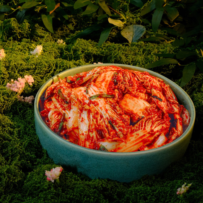 채선비 젓갈없는 비건 채식 알배추 겉절이 김치, 1개, 1kg