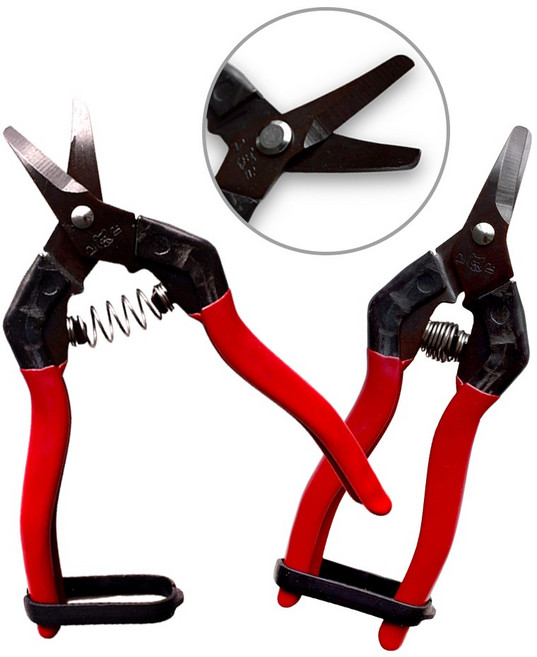 신성 적과가위(곡형) 사과 배 감 귤 등 둥근과일용 과일꼭지가위 SB307, 10개