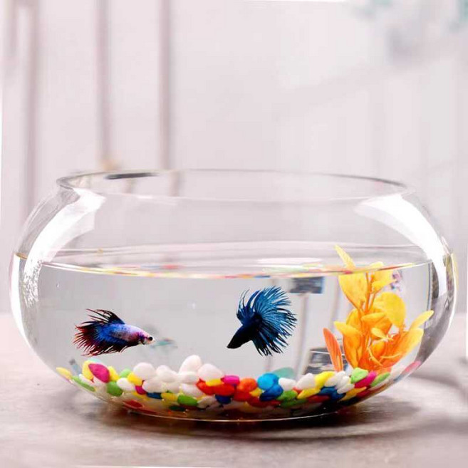 화병 대형 유리 수련 어항 화분 인테리어 수조, 6. 드럼형화분25cm+컬러스톤