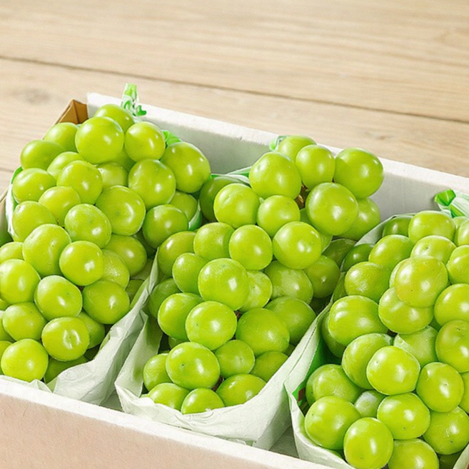 꿀범벅 당도선별 초고당도 샤인머스켓 망고포도, 1개, 2kg