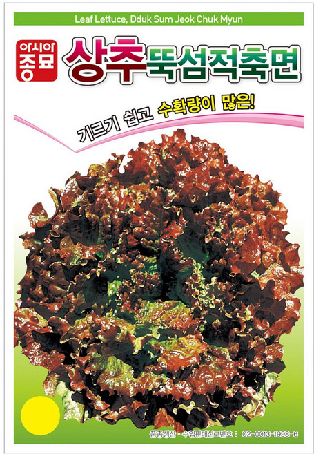 아시아종묘 뚝섬 적축면 상추 씨앗 3000p, 1개