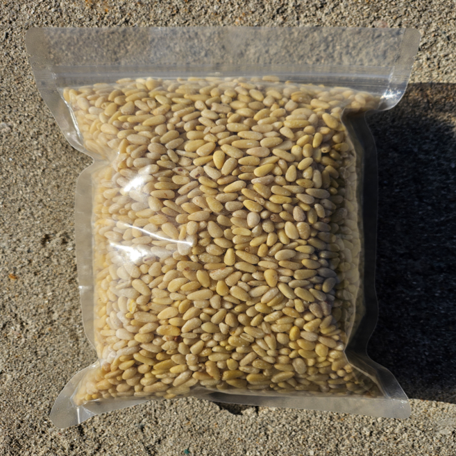 25년 햇잣 작은알 1kg 백잣, 1개