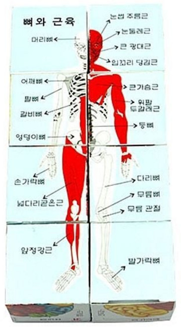 인형퍼즐 공작 공예 학교용 인형만들기 사각퍼즐재료, 본상품