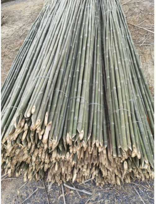 천연 대나무 지지대 텃밭 화분 식물 덩굴 오이 토마토 지주대 울타리 가드 20_깃대2.5cmx2m50개, 50개