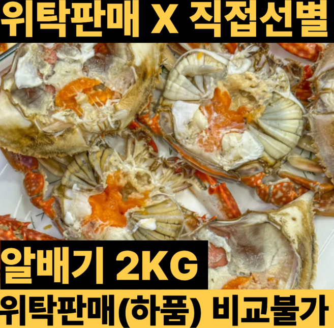 국내산 생물 알배기 활꽃게, 1개, 2kg